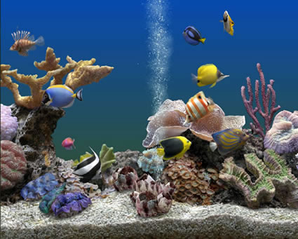 Marine Aquarium 3 is a screensaver that is so realistic that many refer to it as a saltwater reef simulator. It's so beautiful and relaxing that you'll find yourself mesmerized by it.