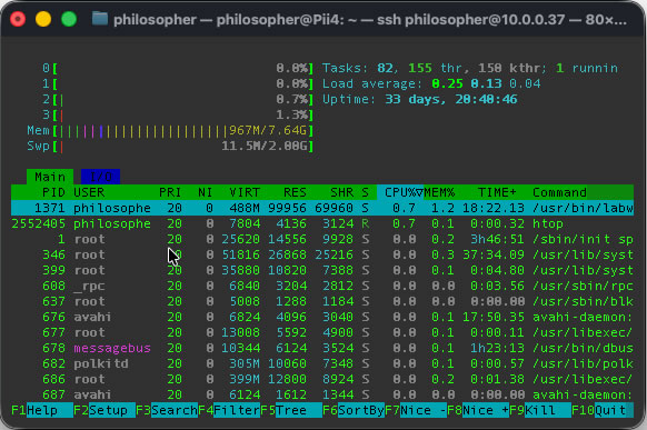 Raspberry Pi 4 htop Command